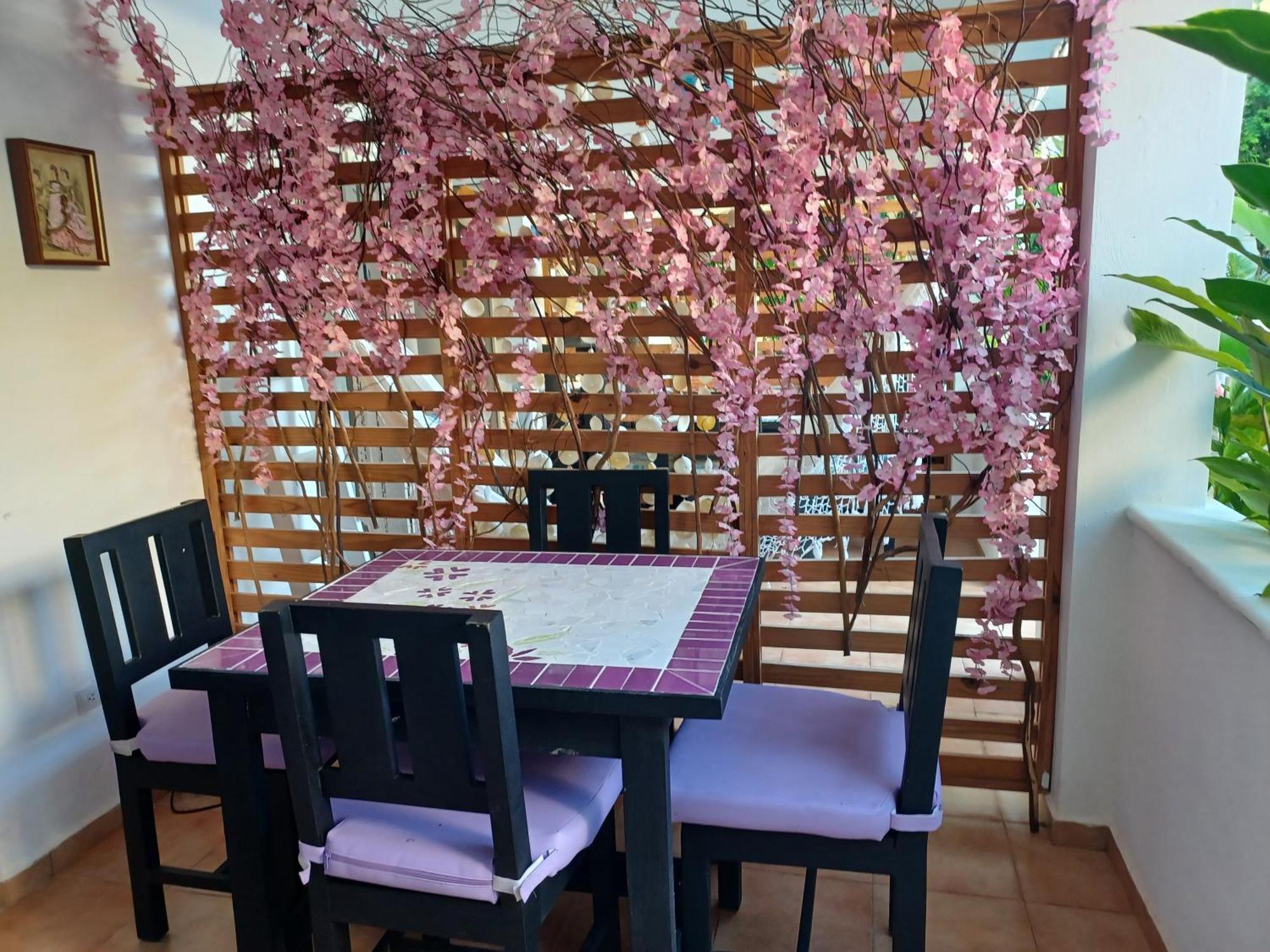 Dona Mayra Aparta Hotel Las Terrenas Room photo